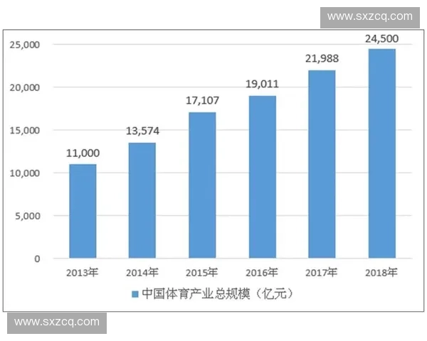 体育职业资格体系建设与发展趋势深度解析研究